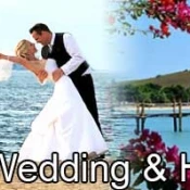 Weddings and Honeymoons (0)